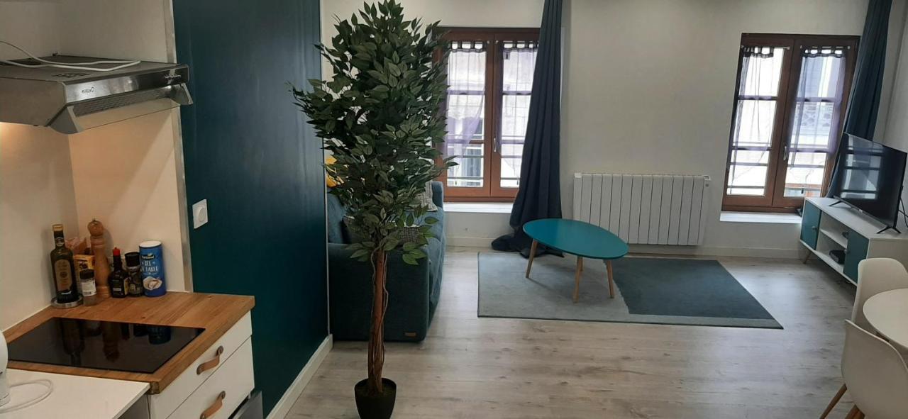 Appartement Netflix centre de Vienne près de Lyon Extérieur photo